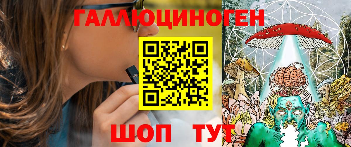 Псилоцибиновые грибы Cubensis Ковров