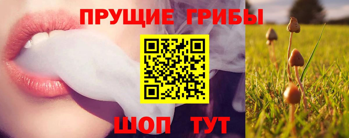 Галлюциногенные грибы прущие грибы  Галлюциногенные грибы мухоморы  Ковров  Вход с VPN 